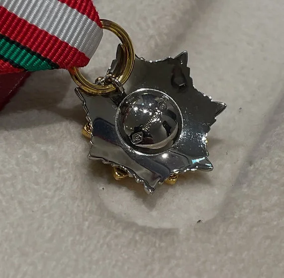 Rare Royal Order King Hussein Medal For Distinguished Giving - Al Tamaeoz - Image 11